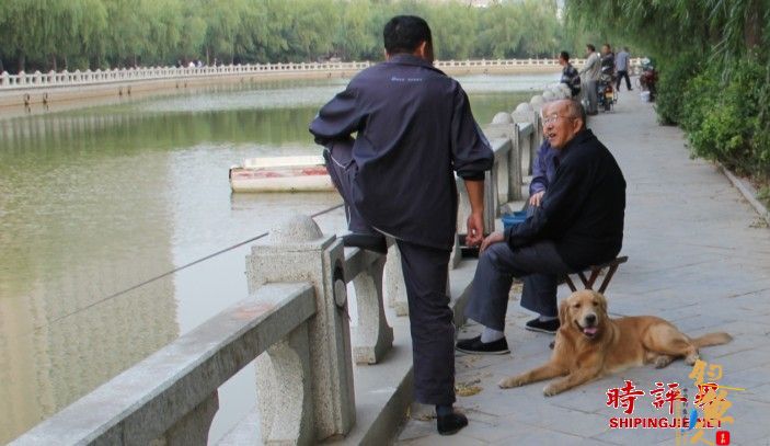 国庆节，夕阳，老人，垂钓，狗…… 