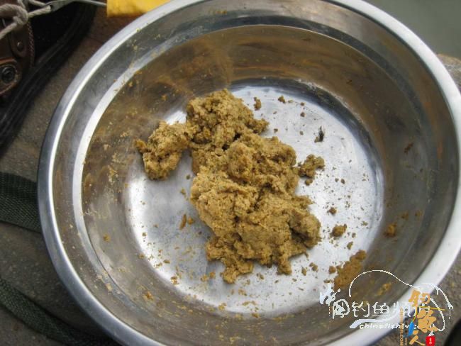 骑车钓鱼《钓鱼日记》 5图