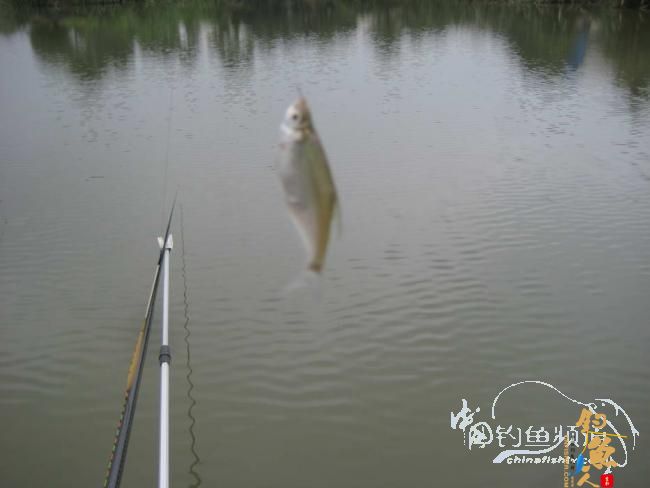 骑车钓鱼《钓鱼日记》 5图