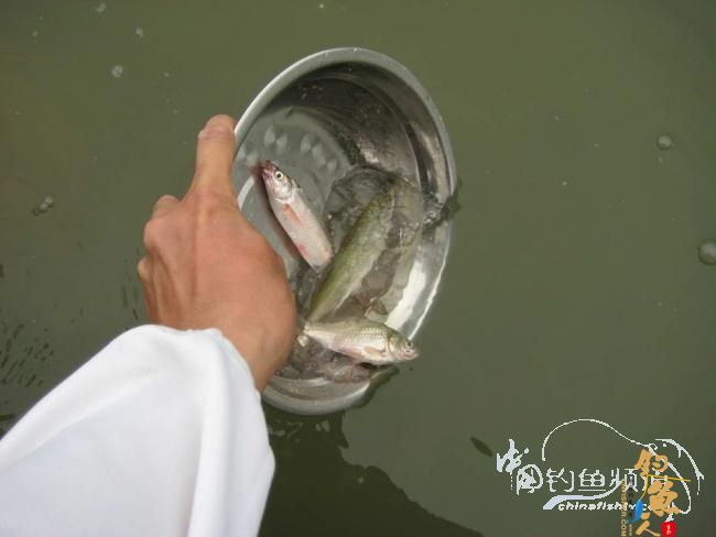 骑车钓鱼《钓鱼日记》 5图