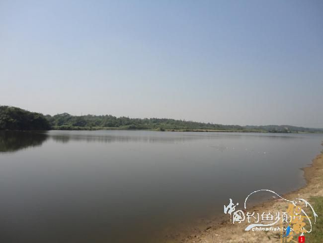 即使只路到一条鱼也要放流！