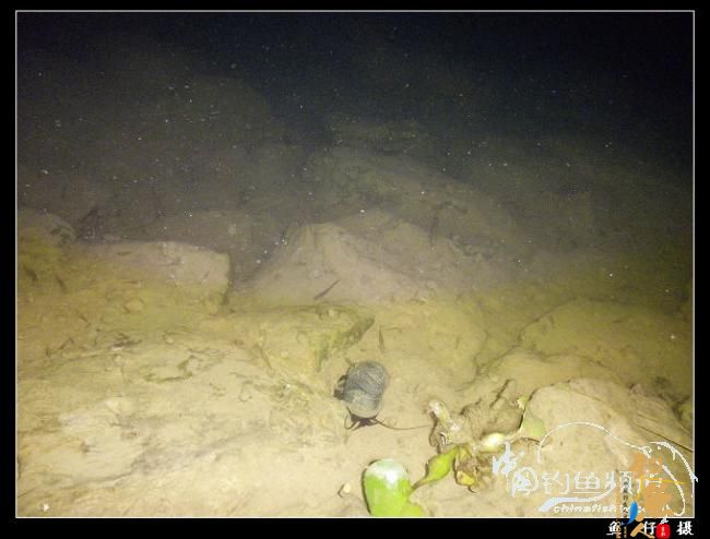 10.2夜钓小河口～～收获惨淡，拂晓收杆