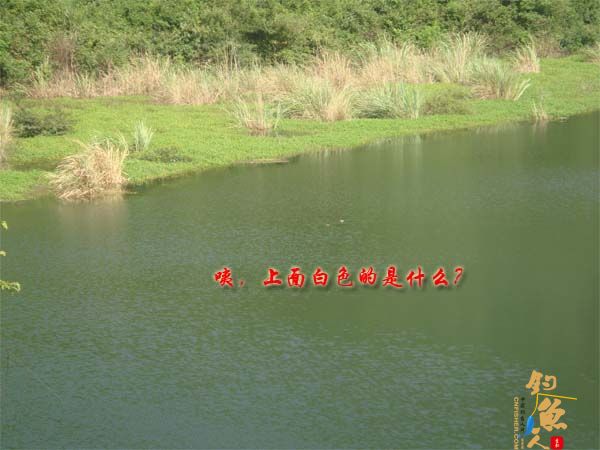 中秋节咱们不差鱼 多图