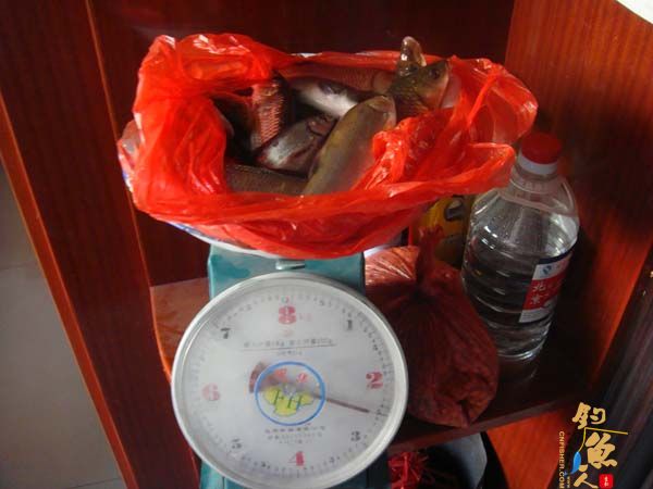 中秋节咱们不差鱼 多图 称重