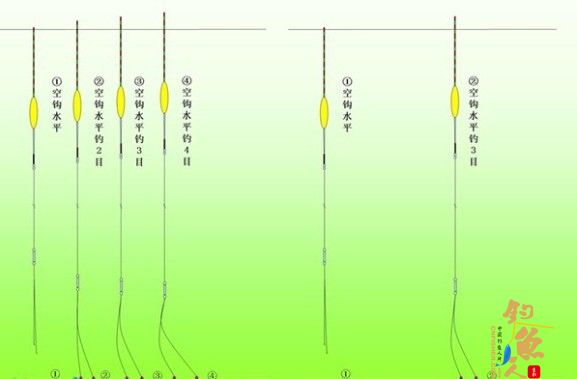 专业配图详解：水库垂钓土鲮鱼的技巧和方法 