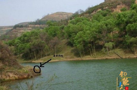 如何选择一个好钓位？七分钓位三分钓技透析