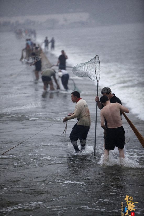 河南洛河水涨市民集体捞鱼 图