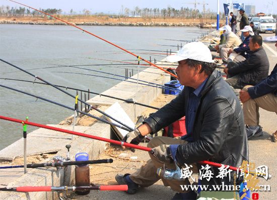 威海钓鱼爱好者挥竿享受垂钓乐趣 图