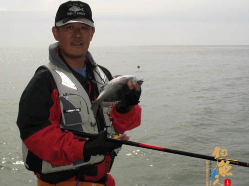 魂牵梦绕苏山岛（下） 8P