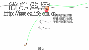 钓组,钓线,渔具钓具