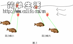钓组,钓线,渔具,钓具