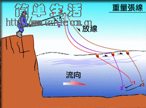 钓组,钓线,渔具,钓具