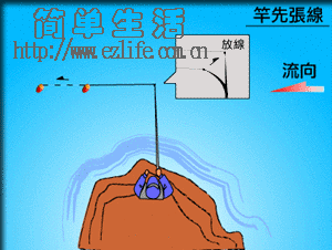 钓组,钓线,渔具,钓具