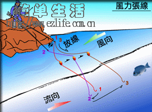 钓组,钓线,渔具,钓具