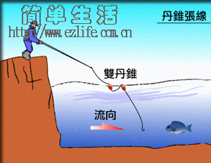 钓组,钓线,钓具,渔具