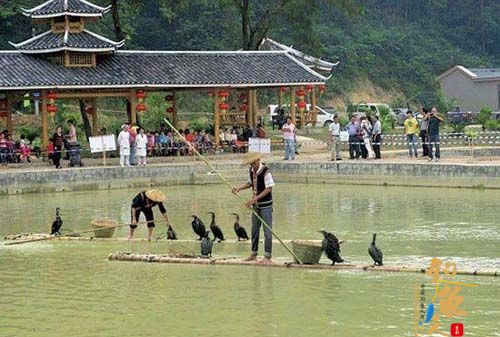 中国-东盟钓鱼比赛以渔为趣乐翻天