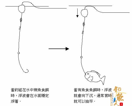 点击图片可在新窗口打开 矶钓讲座,示意图,钓组,饵料