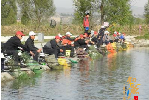 平凉市第二届老年钓鱼联谊赛收竿参加比赛的8个团队、32人经过角逐