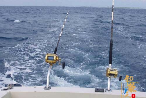 船钓是指乘船出海人坐在船上垂钓 学习,技巧