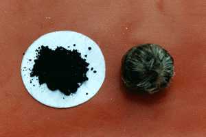 关于麝香的介绍,钓鱼饵料百科