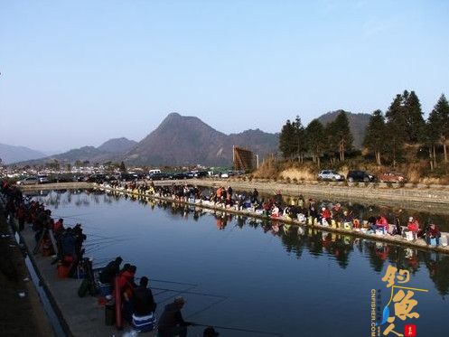 黄山市钓鱼大赛:157名选手角逐万元大奖 垂钓场面壮观