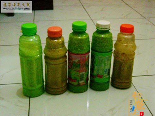 阿魏10克,丁香10克,山奈5克 香叶5片曲酒500克 用顶级配方