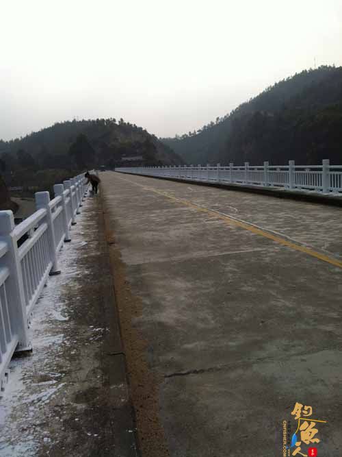 考察广东省龙川县疯树坝水库钓鱼地点概况 5P