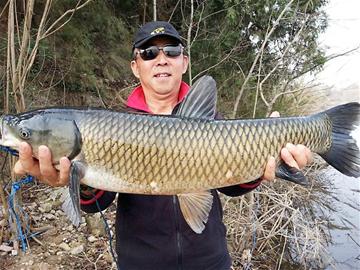 四川绵阳一钓鱼人 水库蹲守4天 收获“三连竿”