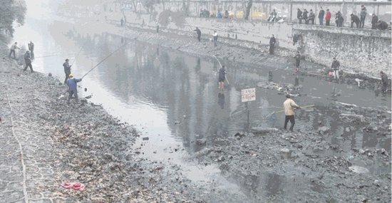 荆州一公园旁臭水沟“吃香” 鱼满仓惹众人捕捞