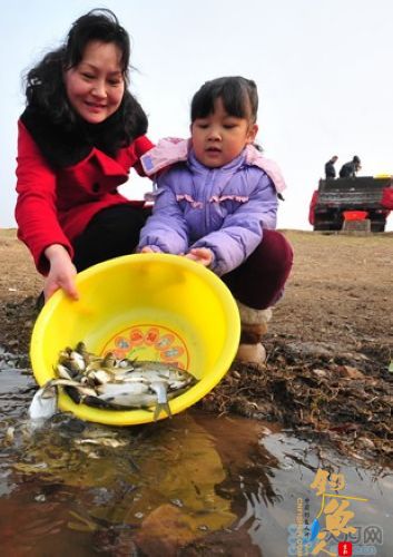 平顶山增殖放流700余万尾鱼苗 改善白龟湖生态 图