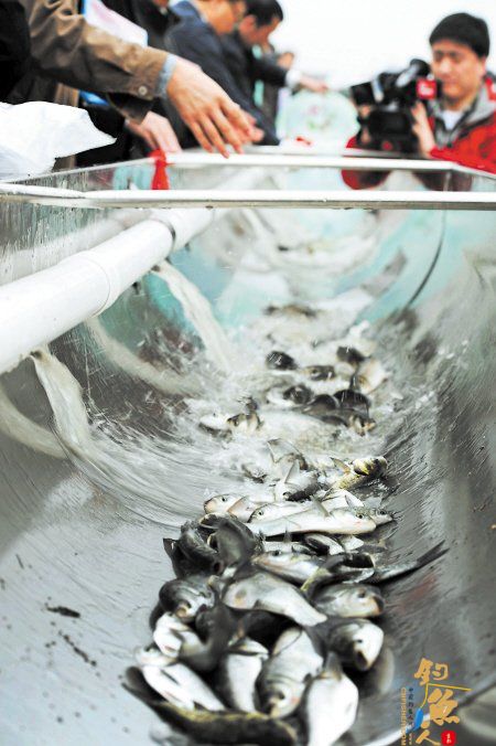 4月1日起湘江干流首次全面禁渔 500万鱼苗入江 图