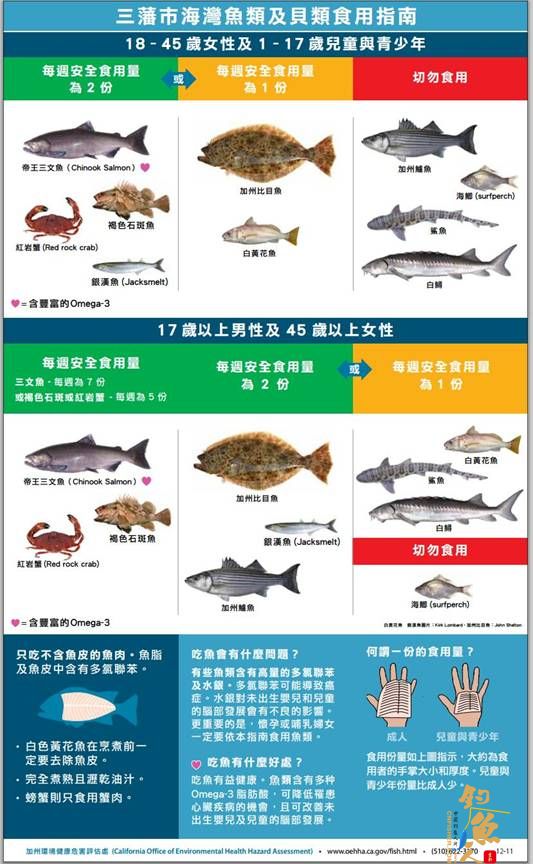 在美国钓鱼：哪些鱼要少吃甚至不吃？《鱼贝汞风险须知》《三藩市海湾鱼