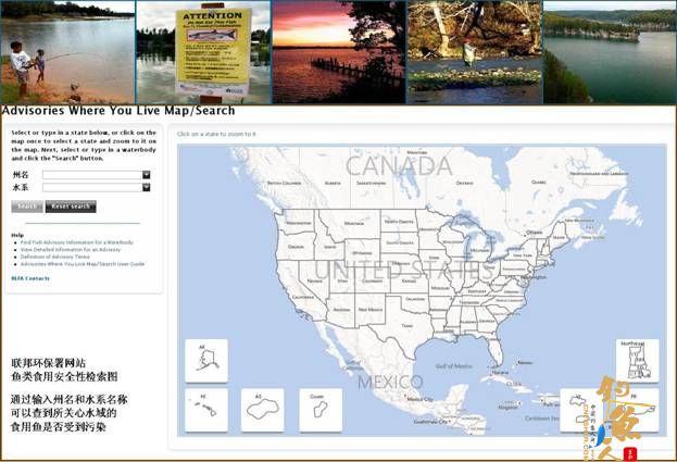 在美国钓鱼:哪些鱼要少吃甚至不吃?《鱼贝汞风险须知》《三藩市海湾鱼