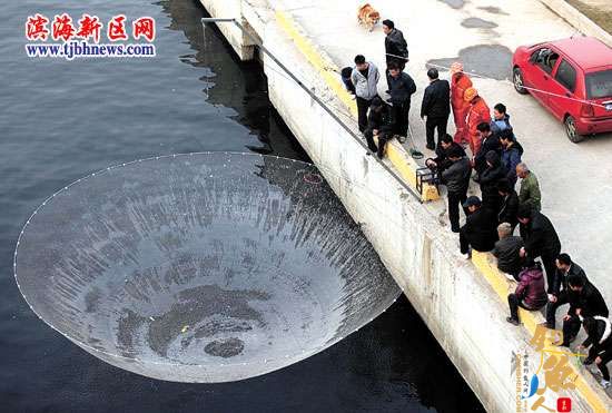 开春鱼儿刚产卵 “绝户网”伸向海河外滩 v 组图