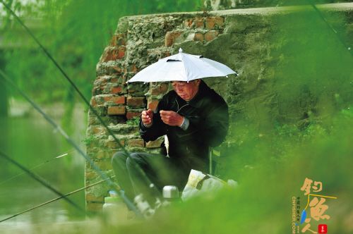 时尚钓鱼翁 组图