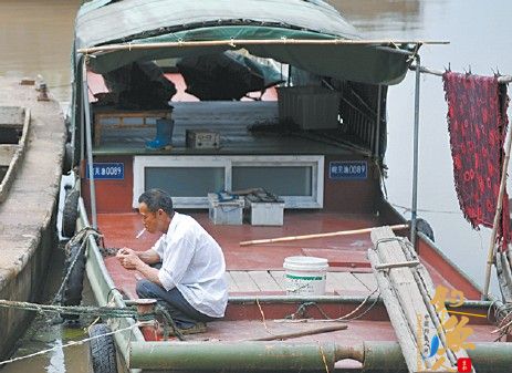 安徽芜湖：刀鱼价格暴跌 靠此为生的渔民生活维艰 组图