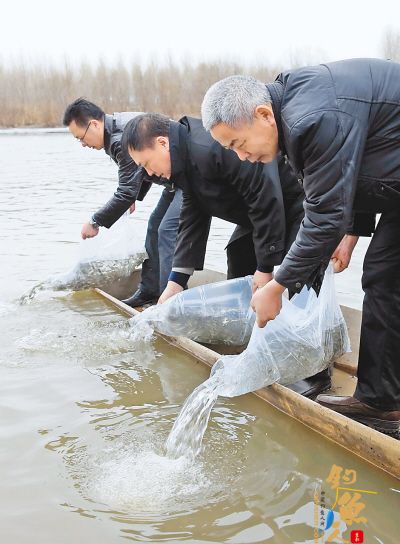 东宁县渔政、公安边防等部门在中俄国界河放流27万尾鱼苗 组图