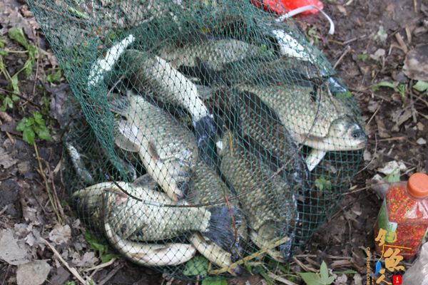 枞阳海螺公司组织开展职工钓鱼活动 图