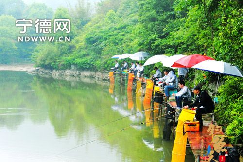 福鼎桐山溪成为钓鱼爱好者的好去处 图