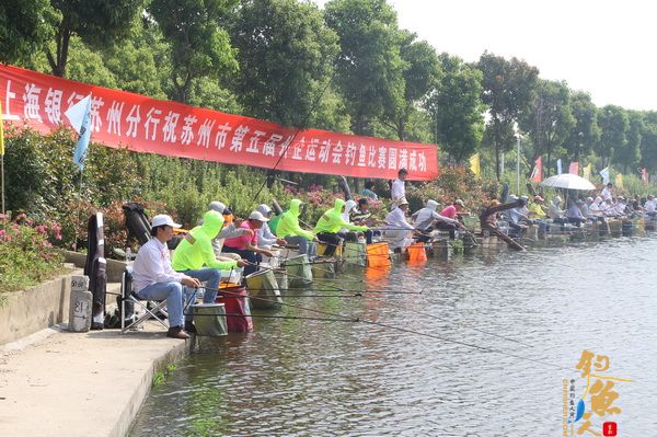 第五届外运会钓鱼比赛开竿 74名垂钓高手享“鱼”乐 现场图