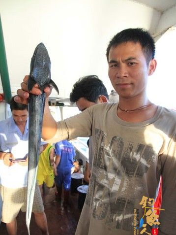 海南赴南沙捕捞船队抵作业海区 船员钓到奇怪海鱼 组图