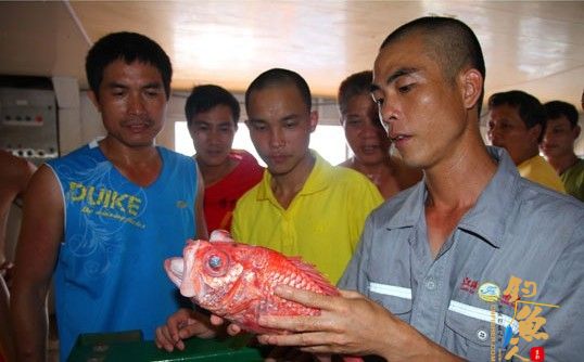海南南沙捕捞船船员第一天试捕收获红磷怪鱼 现场图