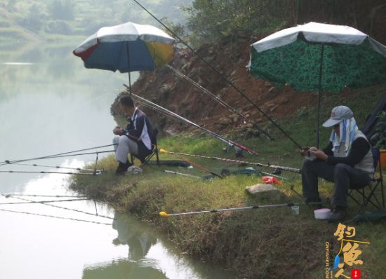 夏季 户外 运动 陕西钓鱼好去处 陕西钓鱼场地 组图