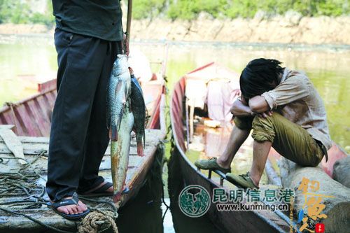 南盘江库区百吨鱼死亡 养鱼户损失惨重盼调查死鱼真相 图