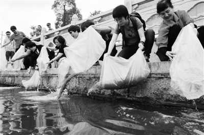 迎接6月5日世界环境日 温州绿眼睛环保组织万尾鱼苗放入三垟湿地“治”