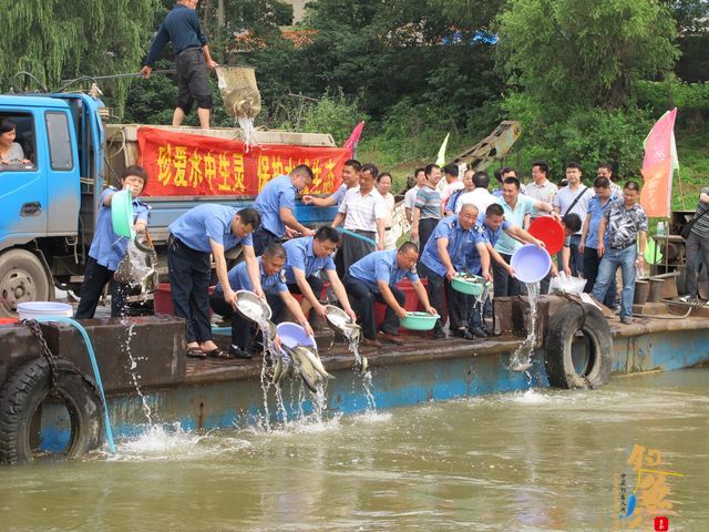 湖南湘潭市实施鱼类增殖放流 维护湘江生态平衡 图