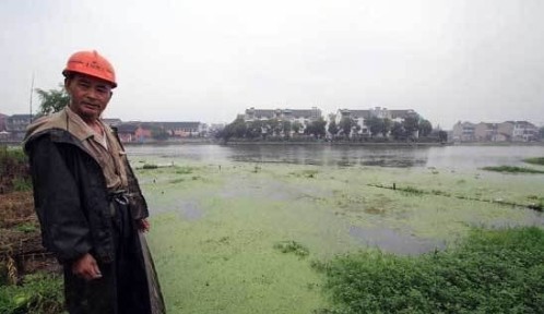 绍兴杭甬大运河遭受污染 数百斤鱼类死亡