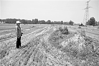 关注“淮河水殇沈丘一年癌症死亡近两千人 组图