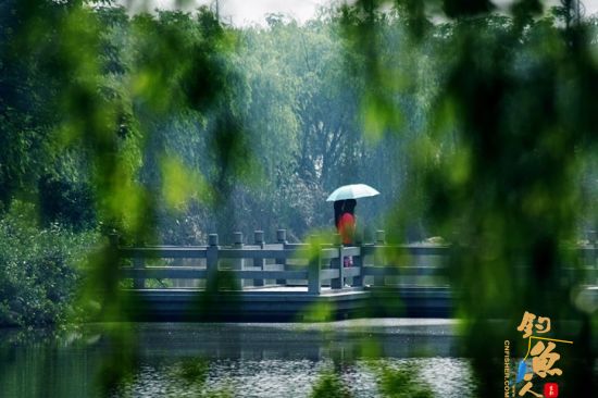 夏季钓鱼去 寻觅武汉垂钓的好去处 金银湖