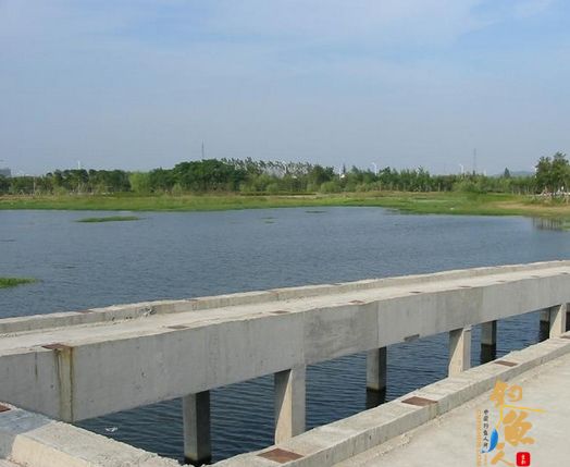 夏季钓鱼去 寻觅武汉垂钓的好去处 闸湖